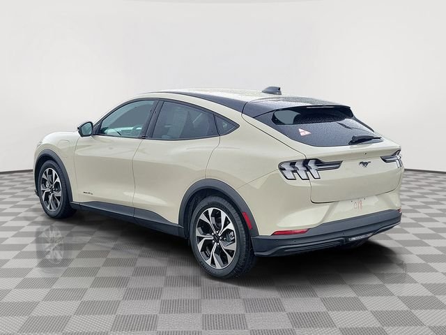 Certified Used 2025 Desert Sand Ford Select image 3