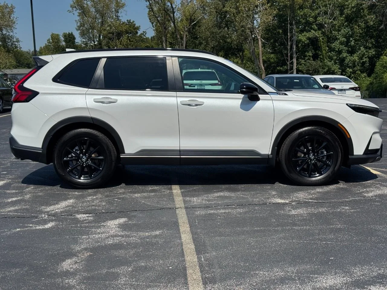 Certified Used 2026 Platinum White Pearl Honda Sport-L image 3