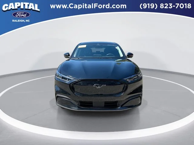 Used 2025 Black Ford Premium image 3