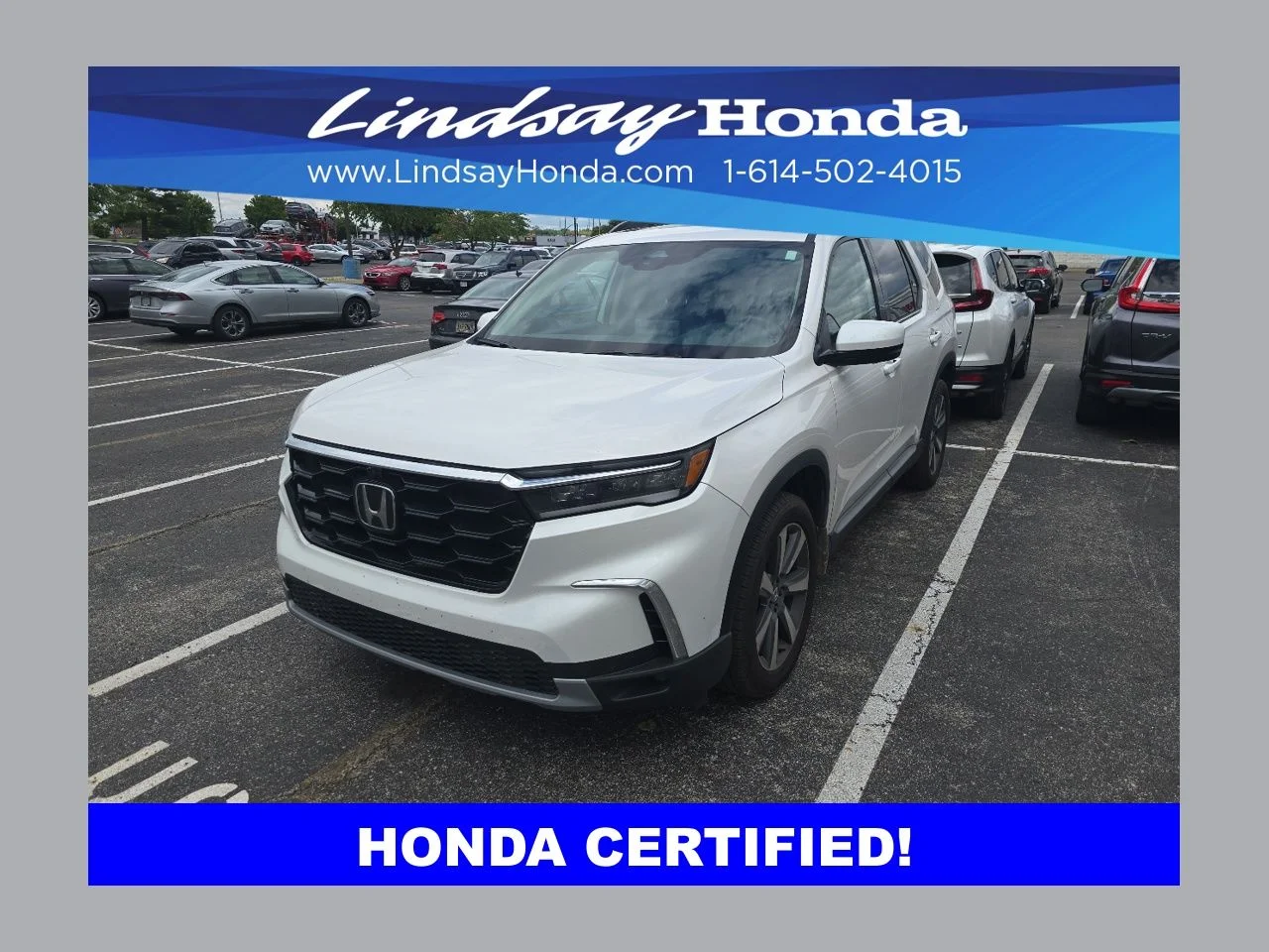 2025 Honda Pilot Elite AWD's photo