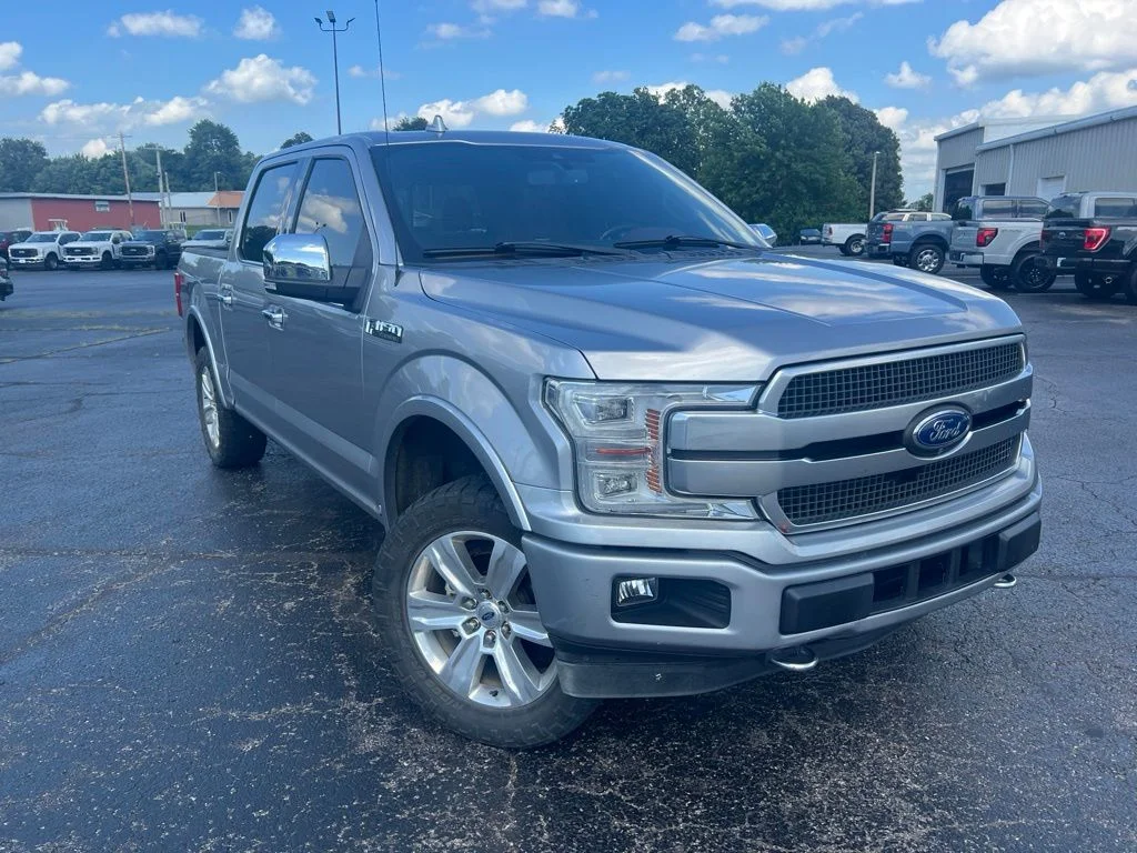 Used 2020 Silver Ford Platinum image 1