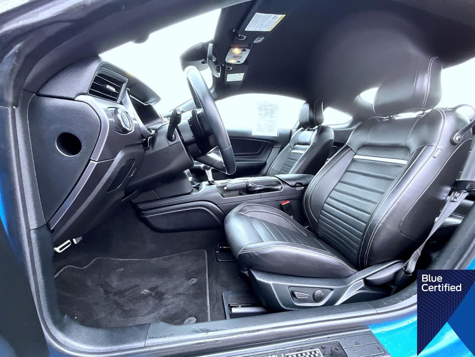 Certified Used 2023 Grabber Blue Ford Mach 1 image 10