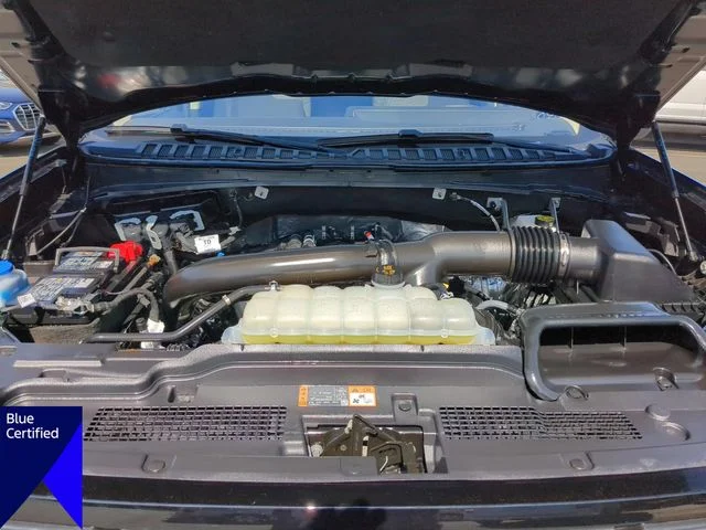 Used 2025 Blue Ford Active image 39