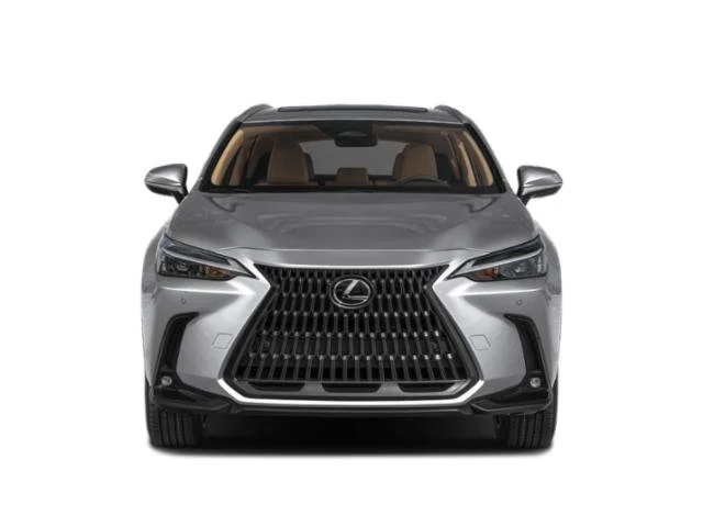 Used 2025 Gray Lexus NX 350 Premium image 4