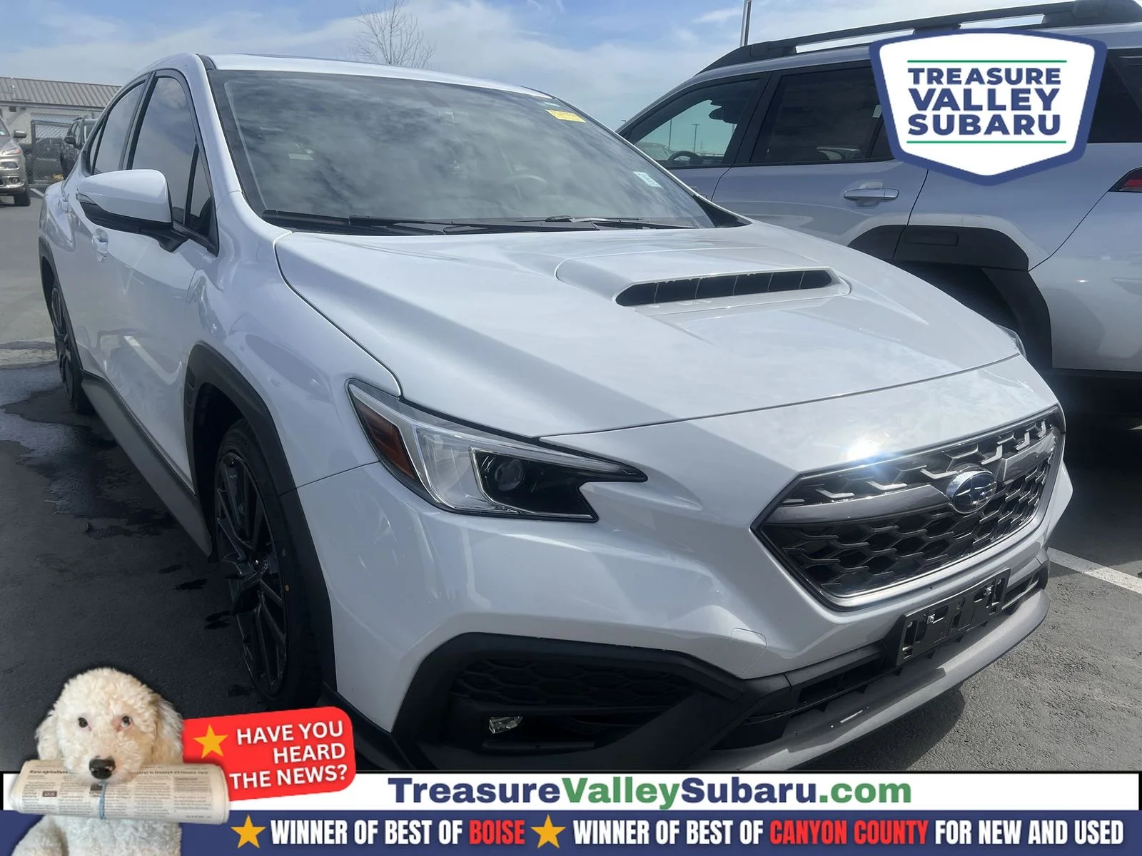 2022 Subaru WRX Limited's photo