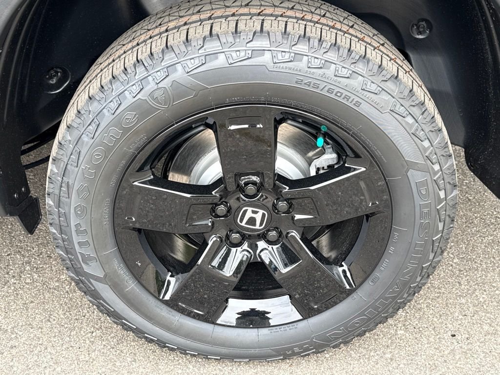 New 2026 Crystal Black Pearl Honda Black Edition image 11