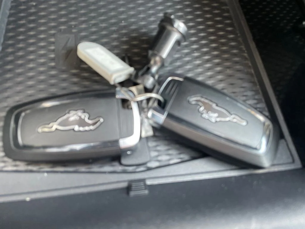 Used 2023 Vapor Blue Ford Premium image 19