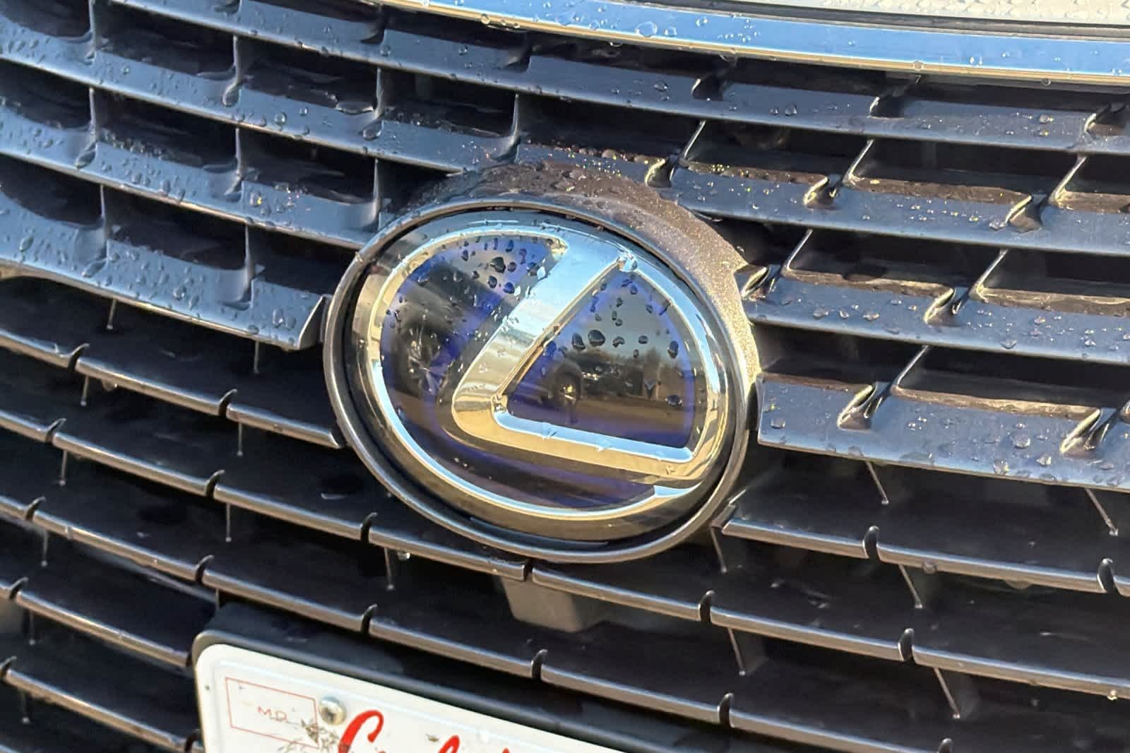 Used 2019 Eminent White Pearl Lexus  image 10