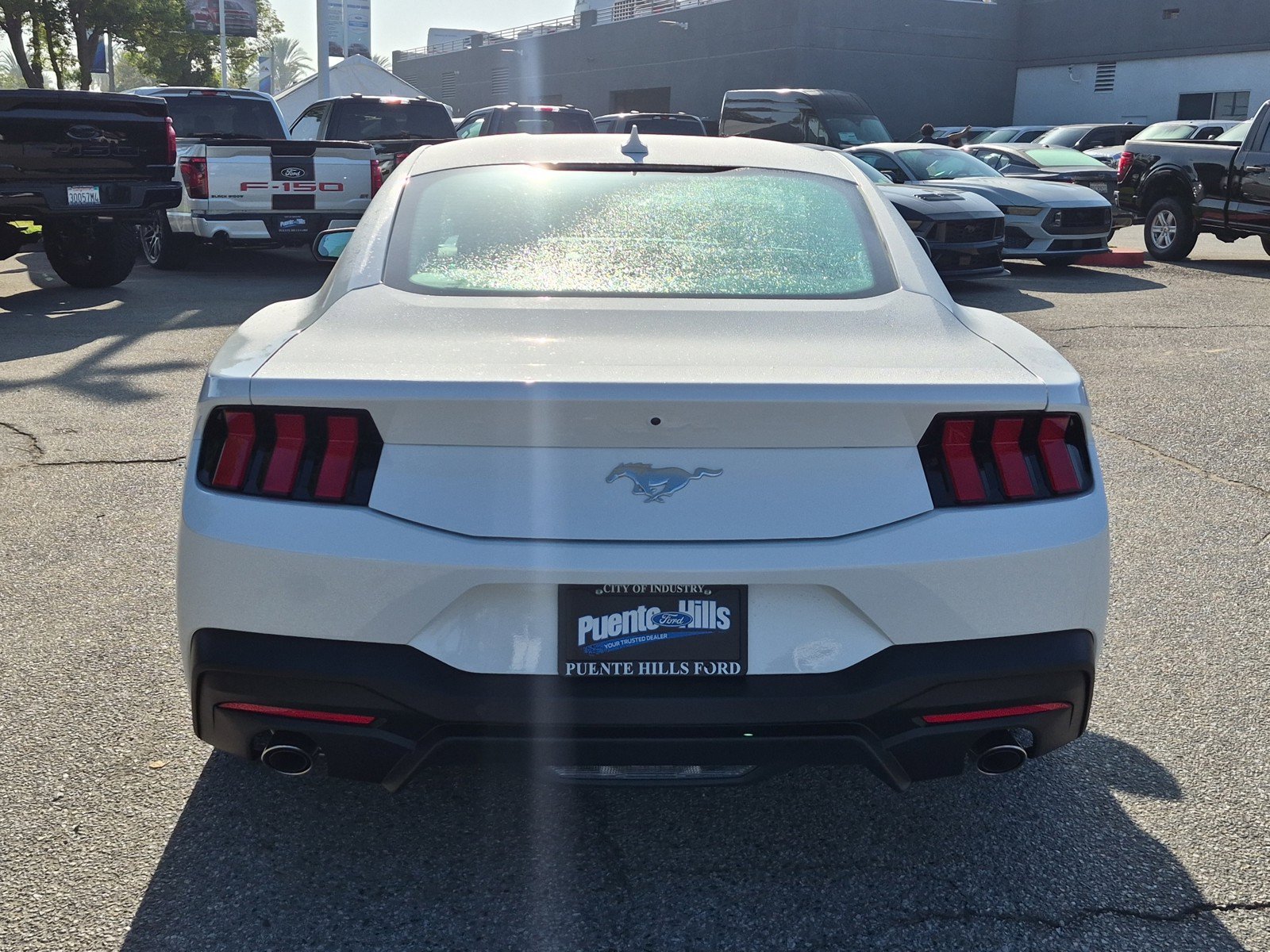 New 2026 Oxford White Ford EcoBoost® Fastback image 6