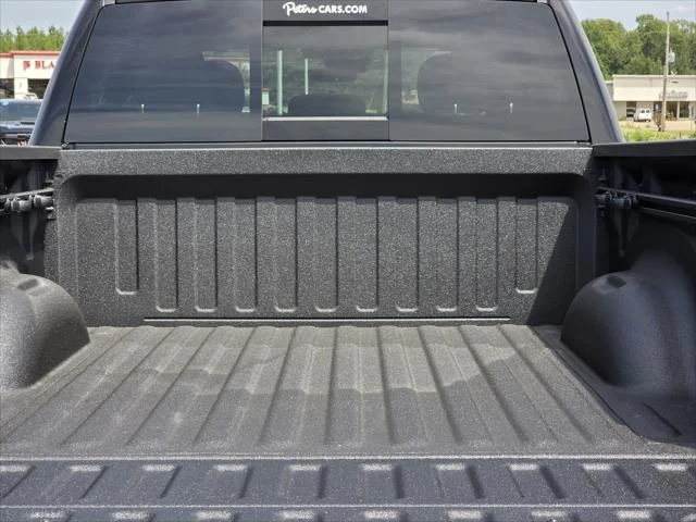 New 2026 Diamond Black Crystal Pearl-Coat Exterior Paint RAM Express image 6