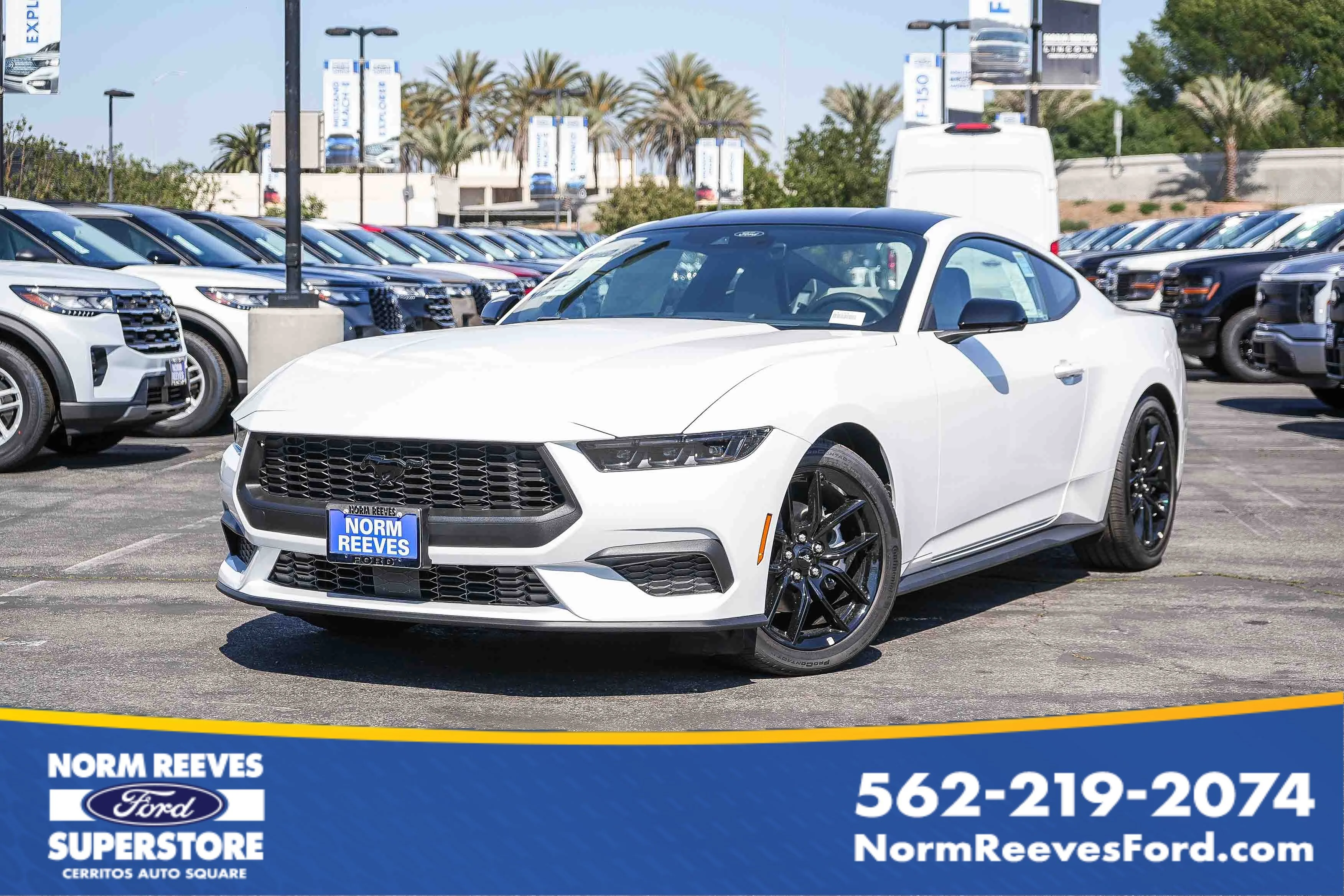 2026 Ford Mustang EcoBoost Fastback's photo