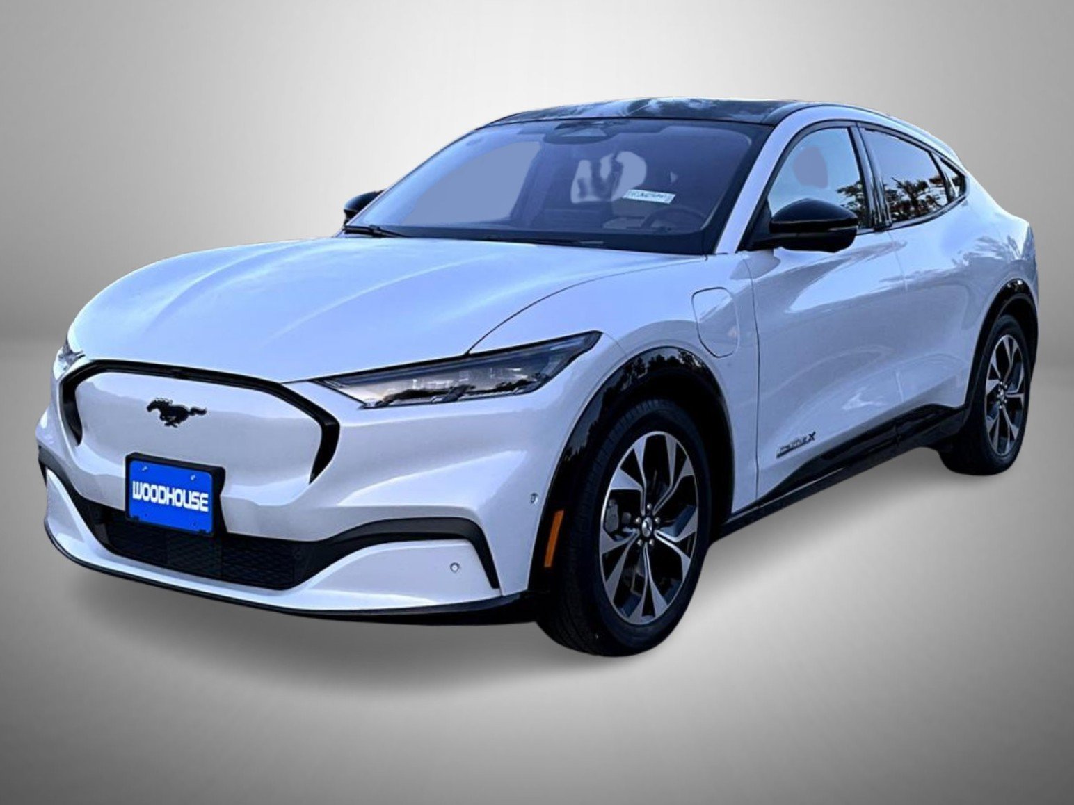 2021 Ford Mustang Mach-E Premium RWD