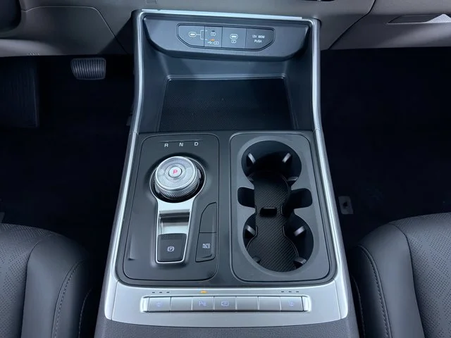New 2027 PANTHERA METAL Kia LXS image 15