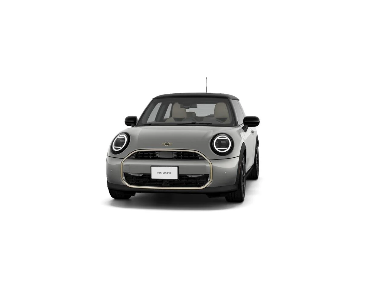 New 2026 Melting Silver III Metallic MINI Signature Plus image 3