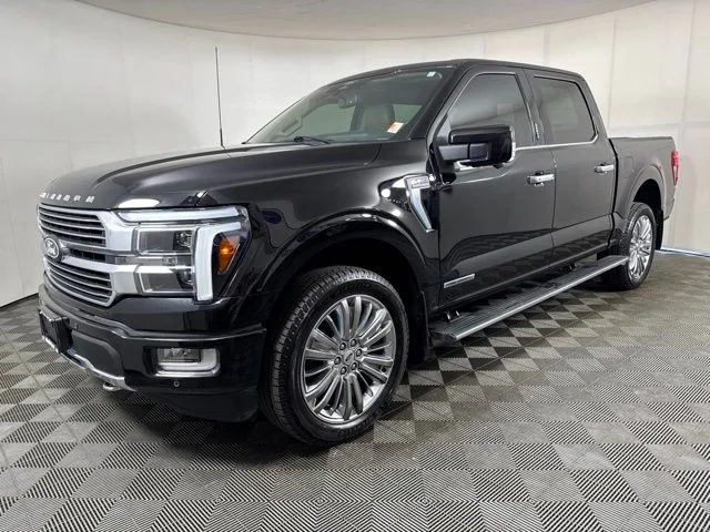 Used 2024 Black Ford Platinum image 8