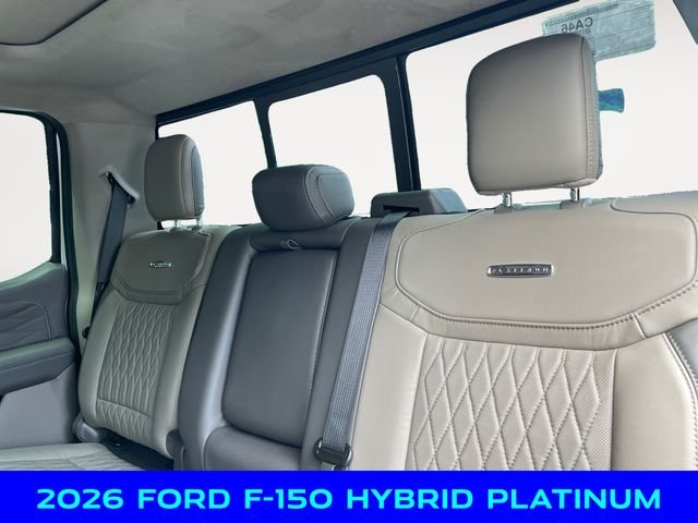 New 2026 White Ford Platinum image 13