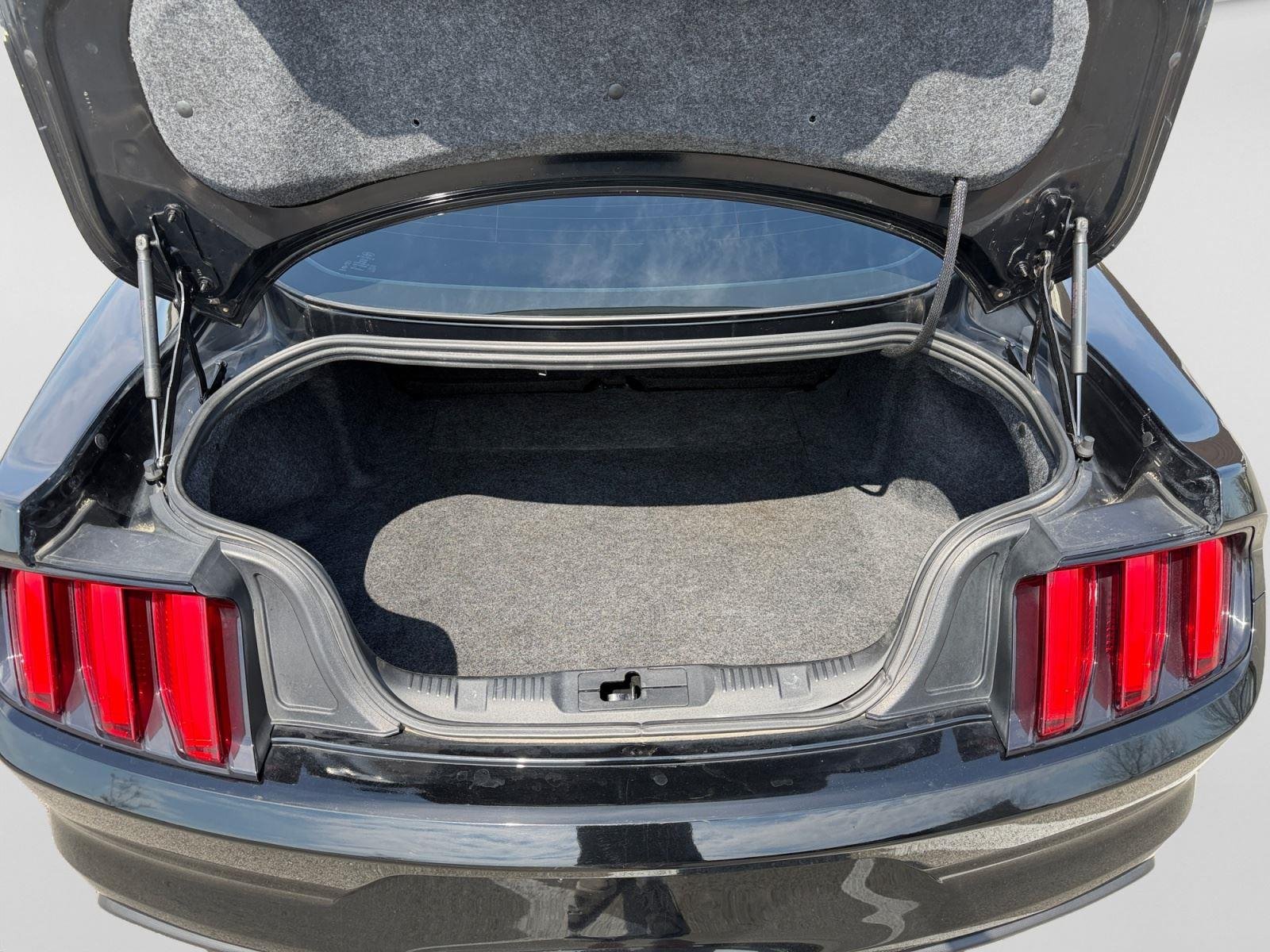 2016 Ford Mustang Shelby GT350 - Photo 19