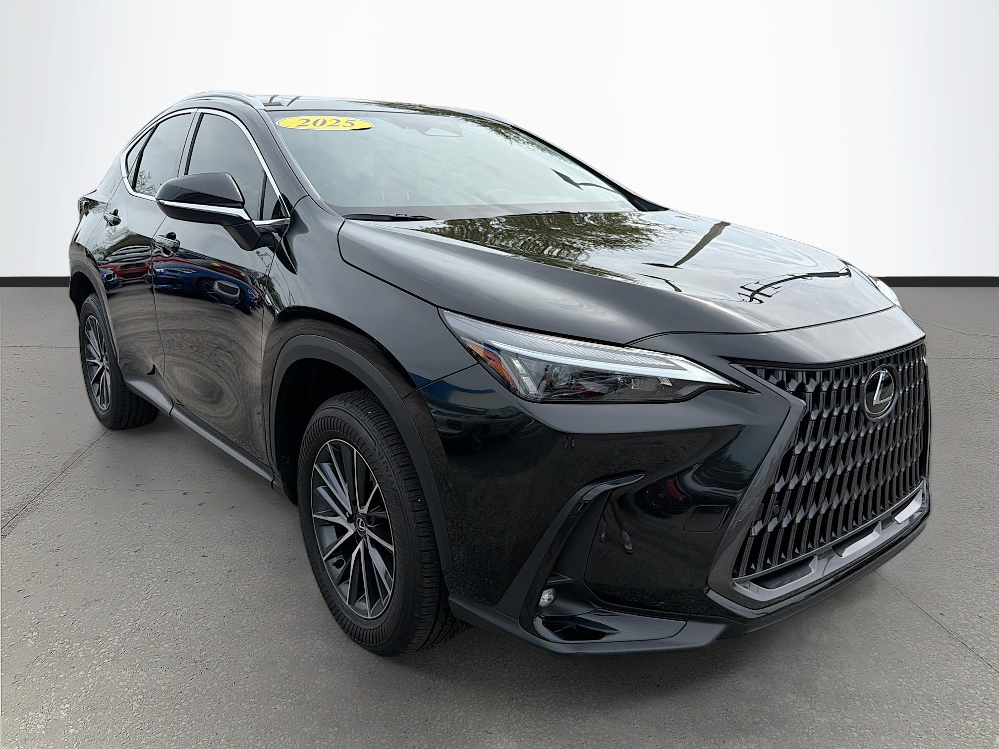 2025 Lexus NX 250