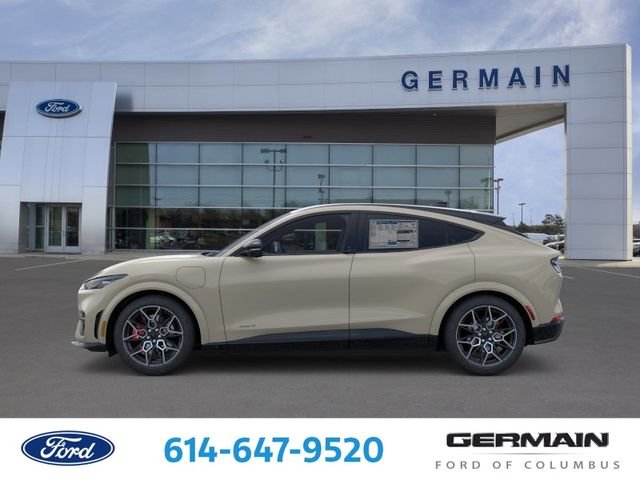 2025 Ford Mustang Mach-E GT - Photo 6