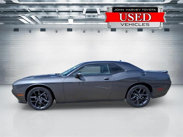 Used 2019 Granite Pearl Coat Dodge SXT image 2