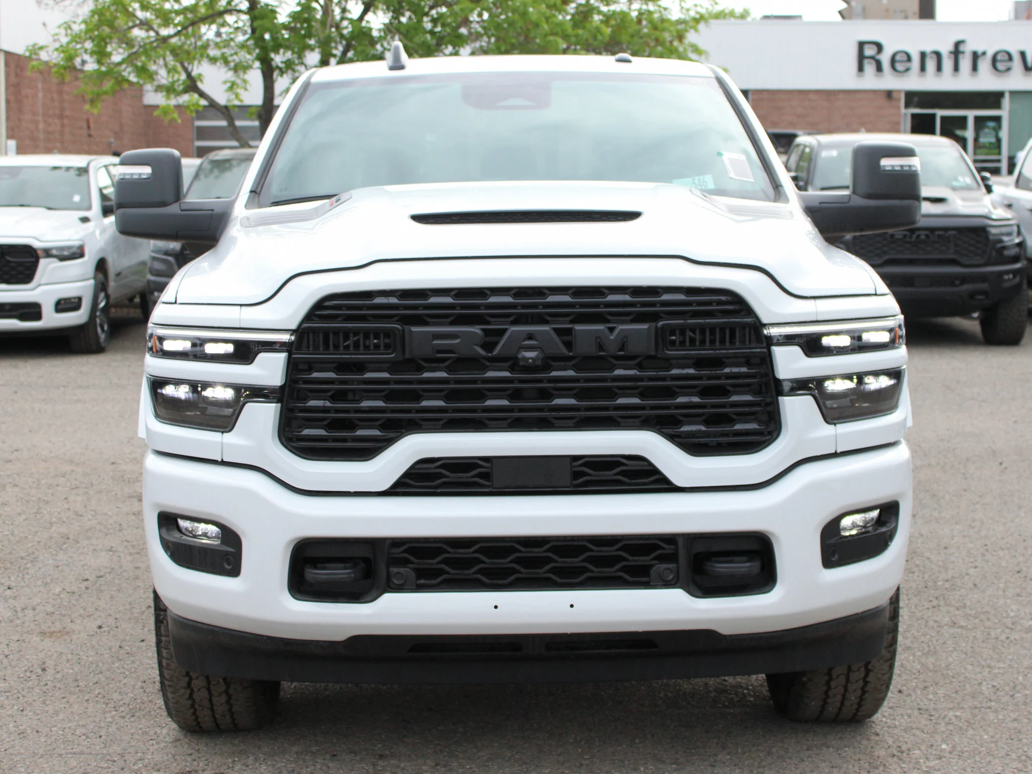 New 2026 White RAM Limited* image 8