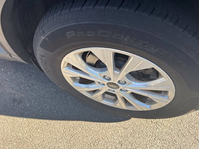 Used 2023 Blue Ford Active image 5