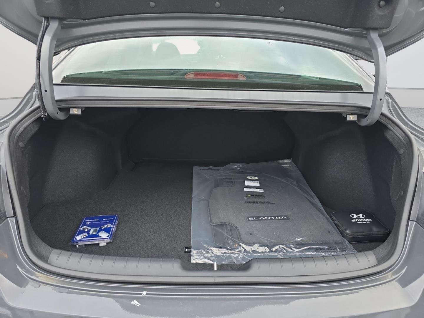 Used 2025 Ecotronic Gray Hyundai Blue image 14