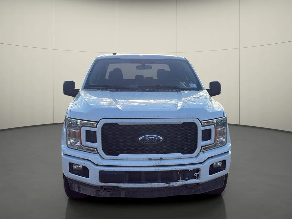 Used 2019 White Ford XL image 2