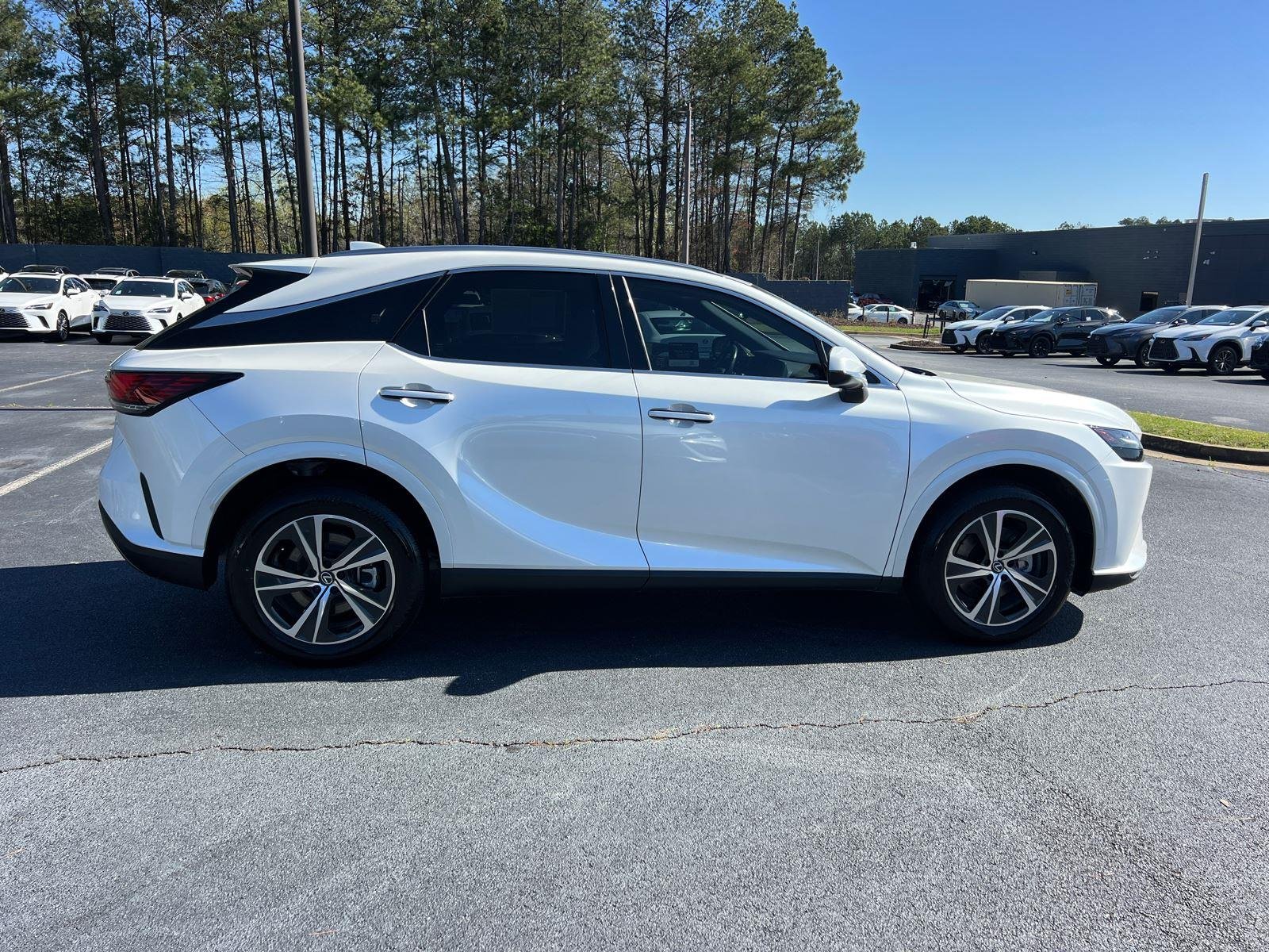 2024 Lexus RX 350 - Photo 5