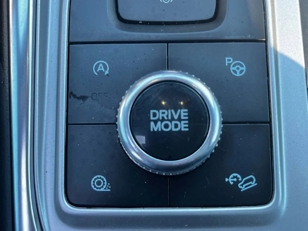 Used 2020 White Ford Platinum image 12