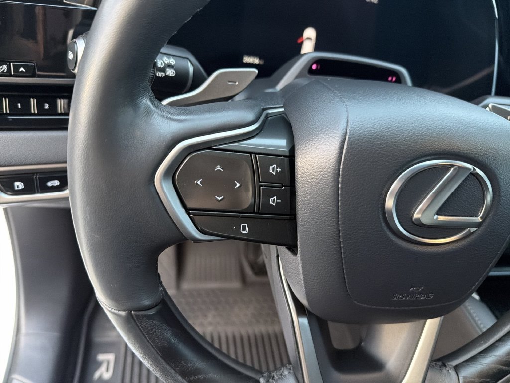 2023 Lexus RX 350 - Photo 17
