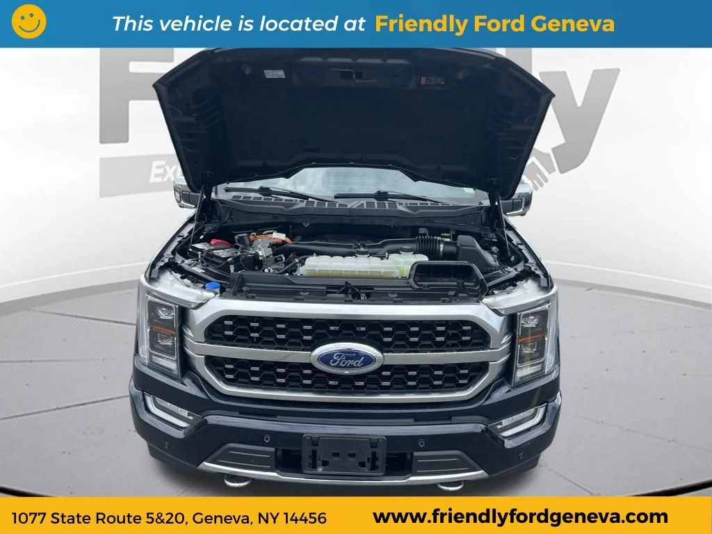 Used 2023 Blue Ford Platinum image 35