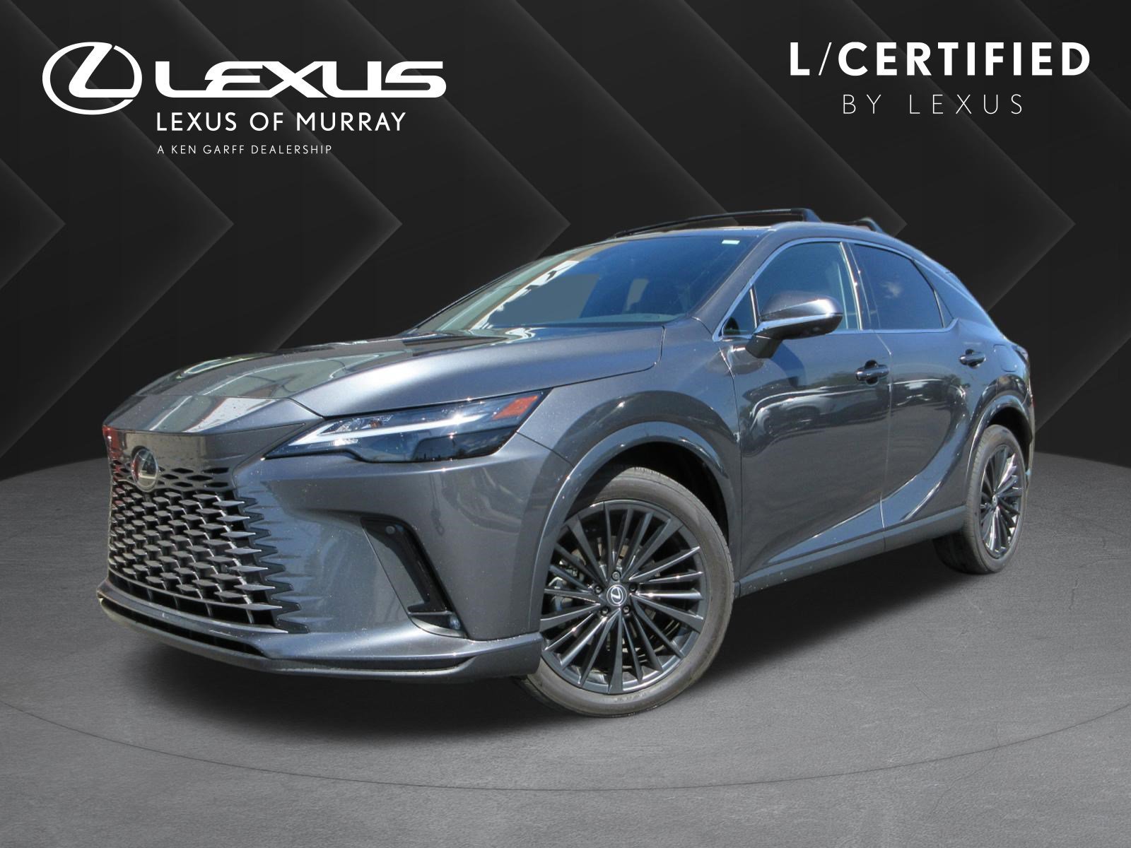 2025 Lexus RX 350h 350h Premium AWD's photo