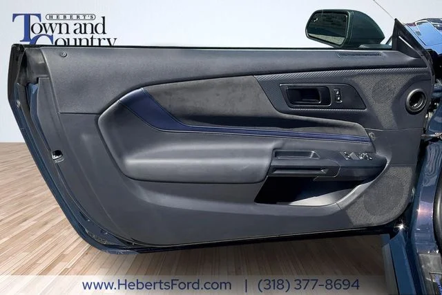 2025 Ford Mustang Dark Horse - Photo 17