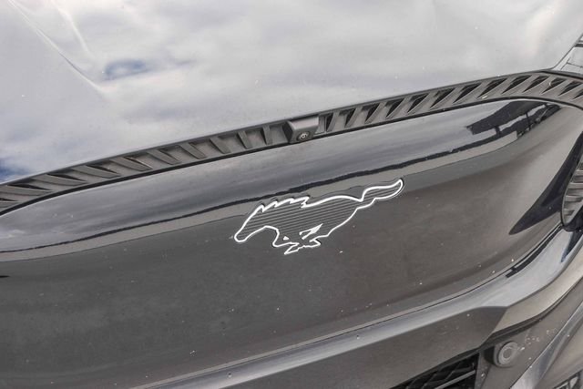 Used 2021 Black Ford California Route 1 image 13
