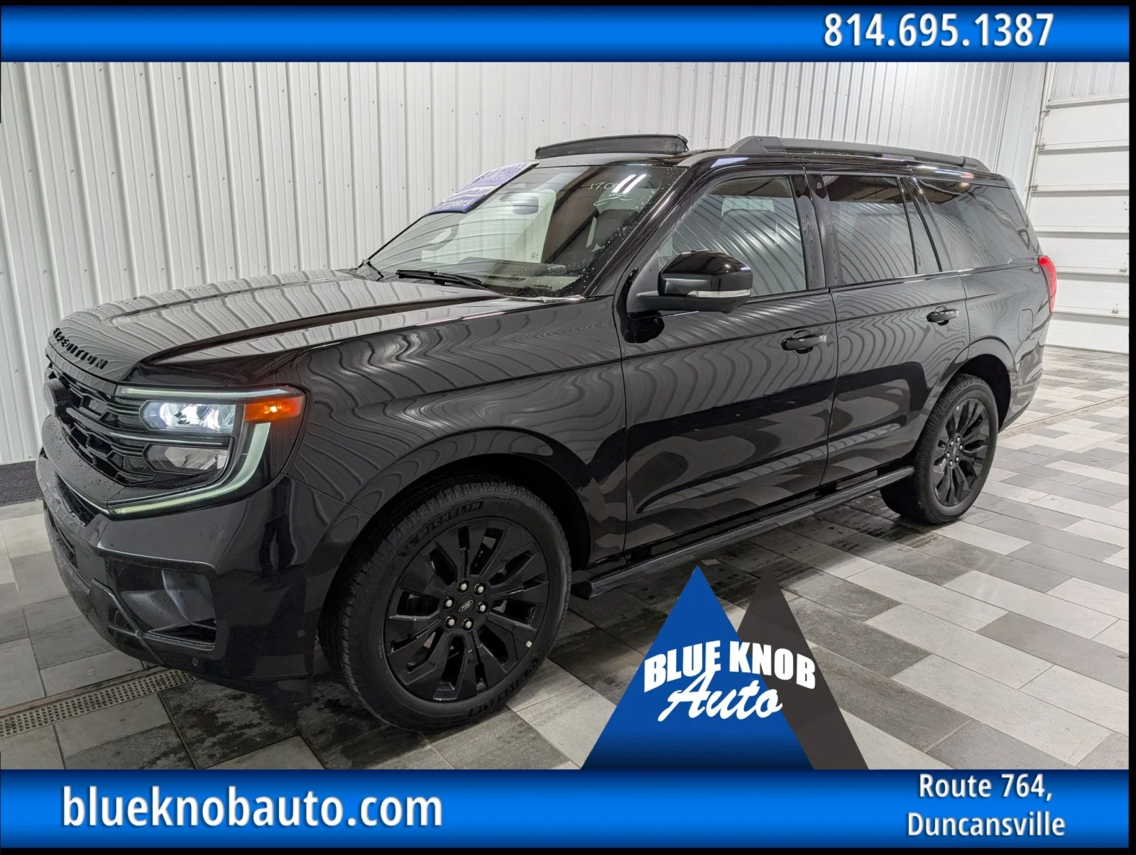 2025 Ford Expedition Platinum 4x4's photo