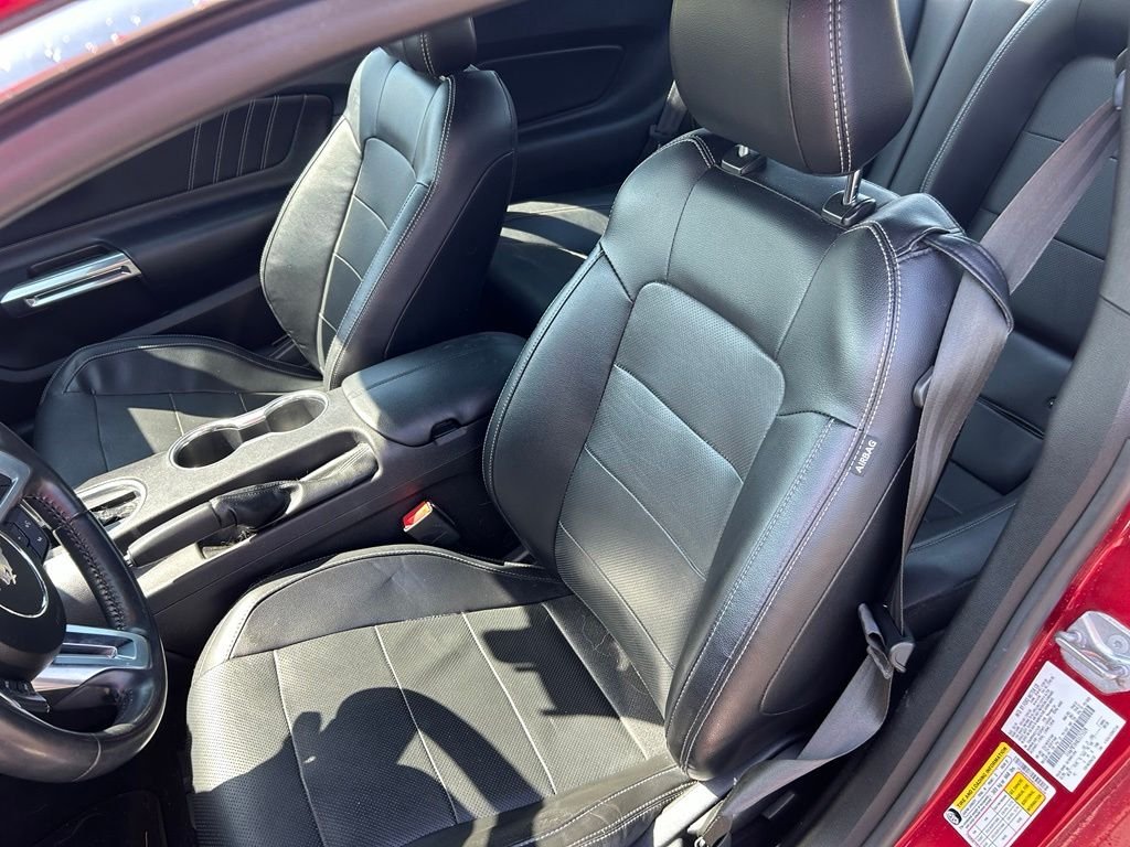 Used 2019 Ruby Red Metallic Ford EcoBoost Premium image 5