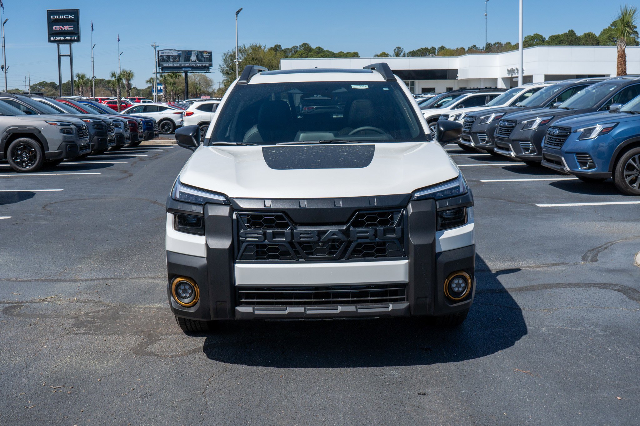 New 2026 CRYSTAL WHITE PEARL Subaru Wilderness image 8