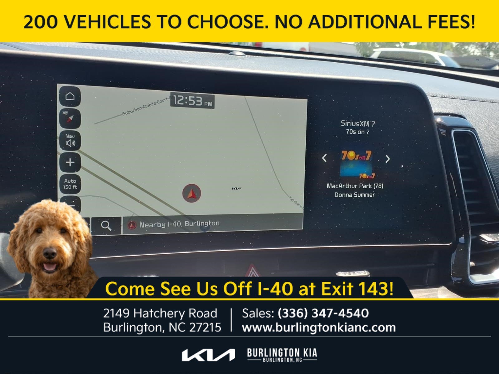 Certified Used 2024 Ebony Black Kia EX image 10