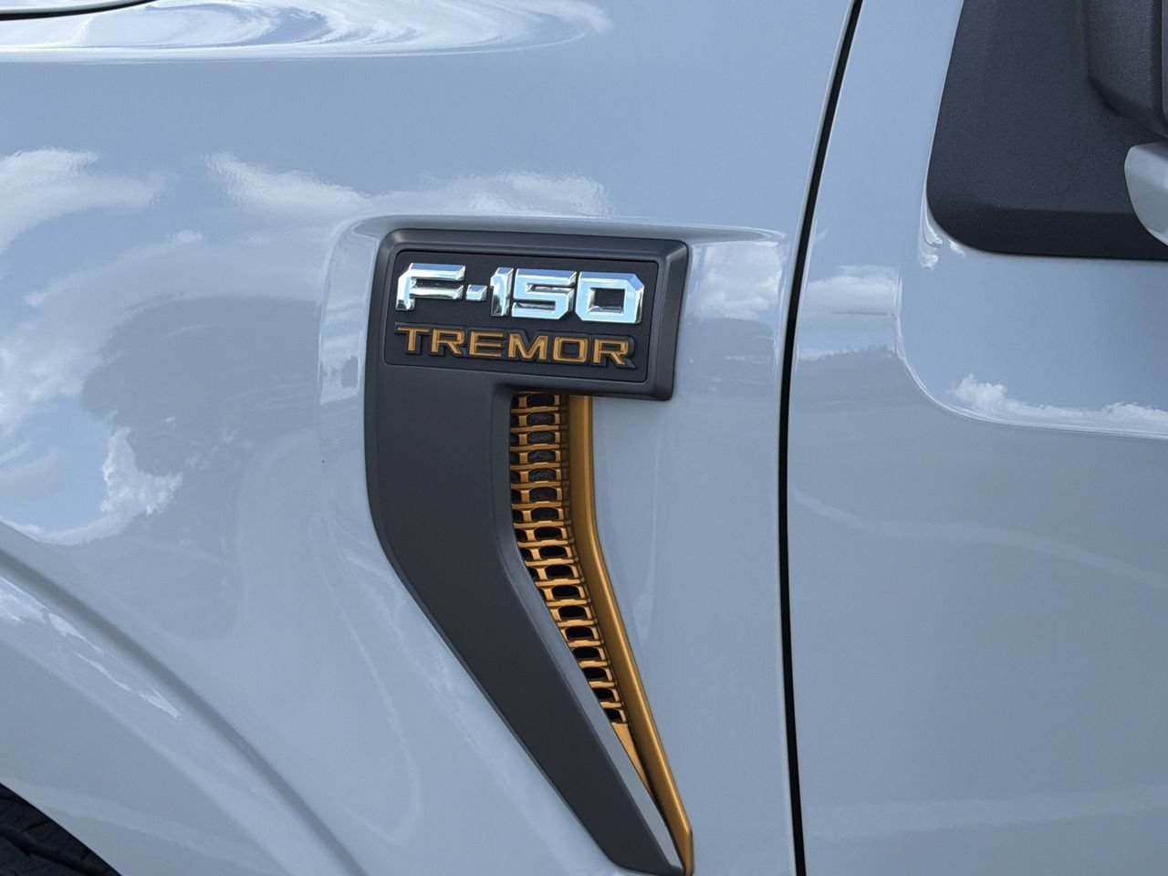 Used 2023 Avalanche Ford Tremor image 9