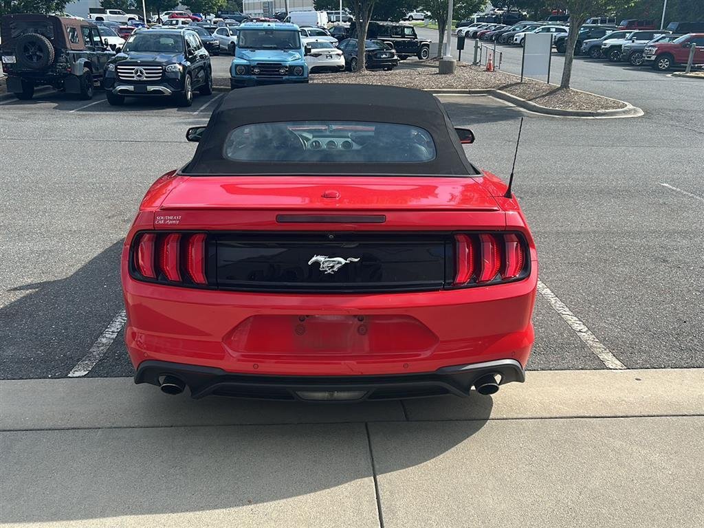 Used 2019 Race Red Ford EcoBoost Premium image 4