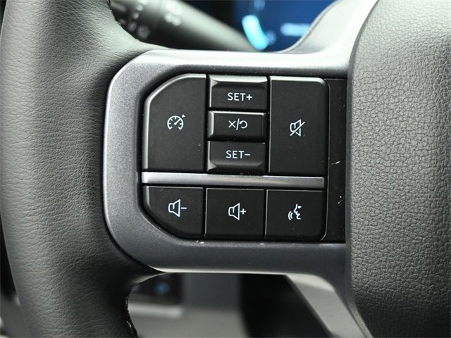 2025 FORD F-250 - Image 11