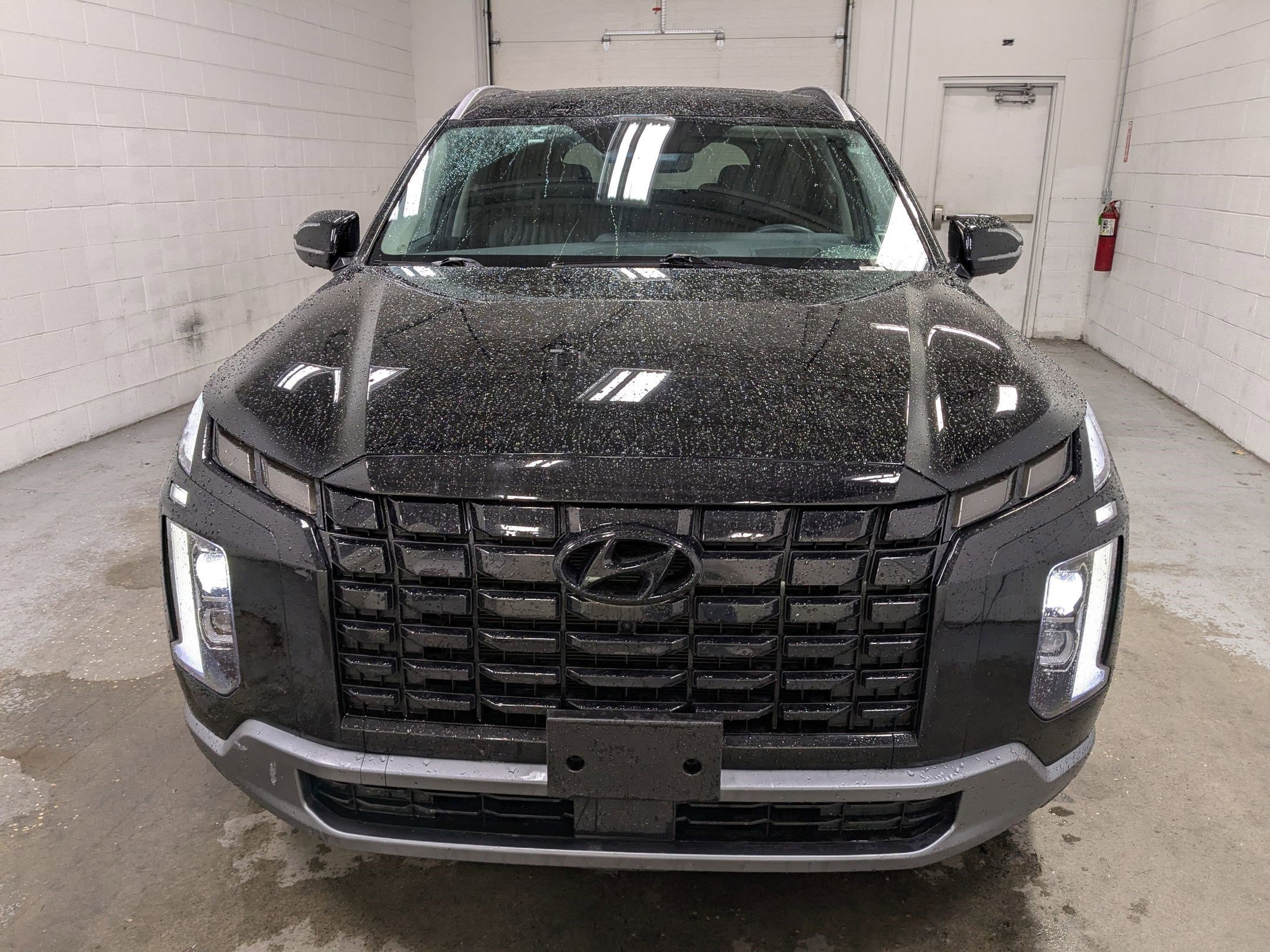 2025 Hyundai Palisade Limited - Photo 11