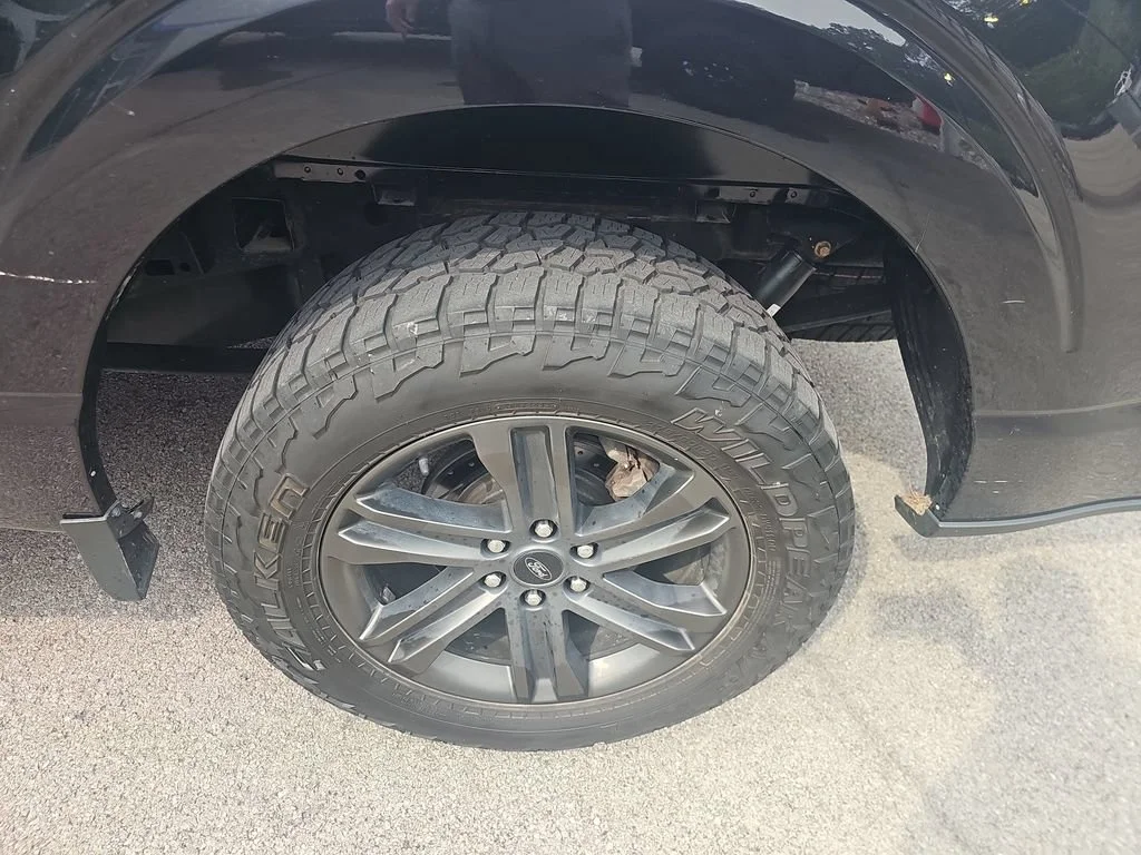 Photo 11