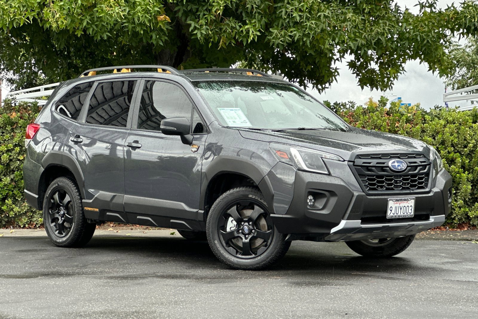 2023 Subaru Forester Wilderness