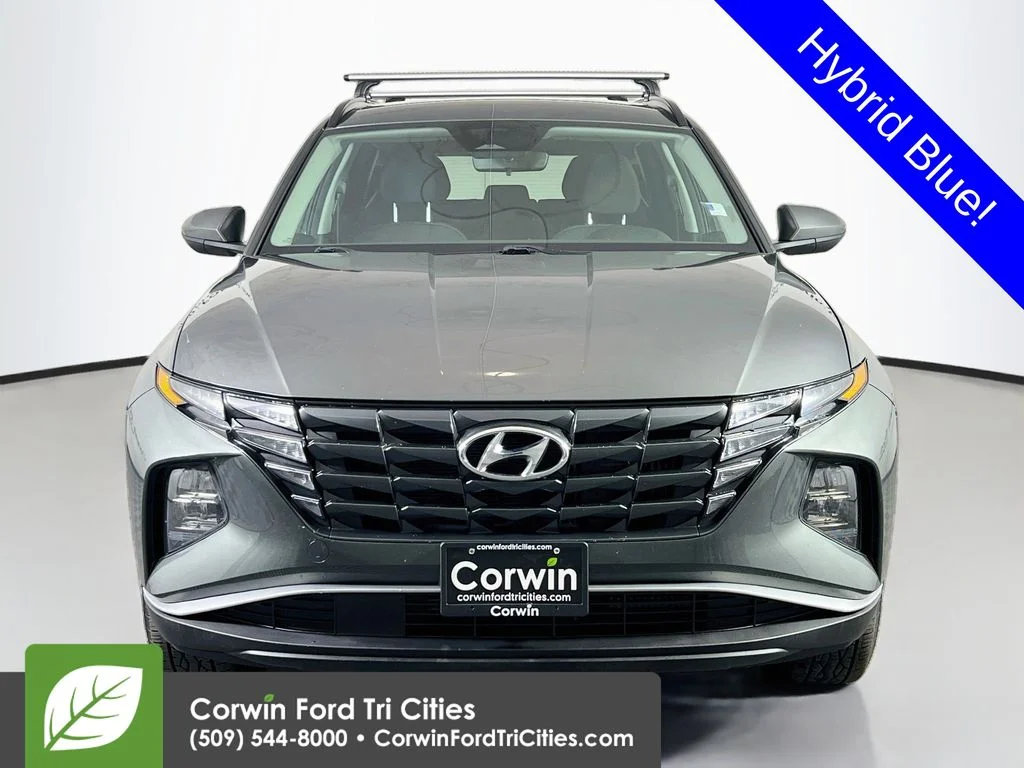 Used 2024 Amazon Gray Hyundai Blue image 4
