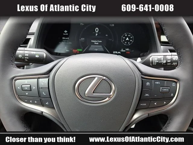 2025 Lexus UX Hybrid 300h Premium - Photo 19