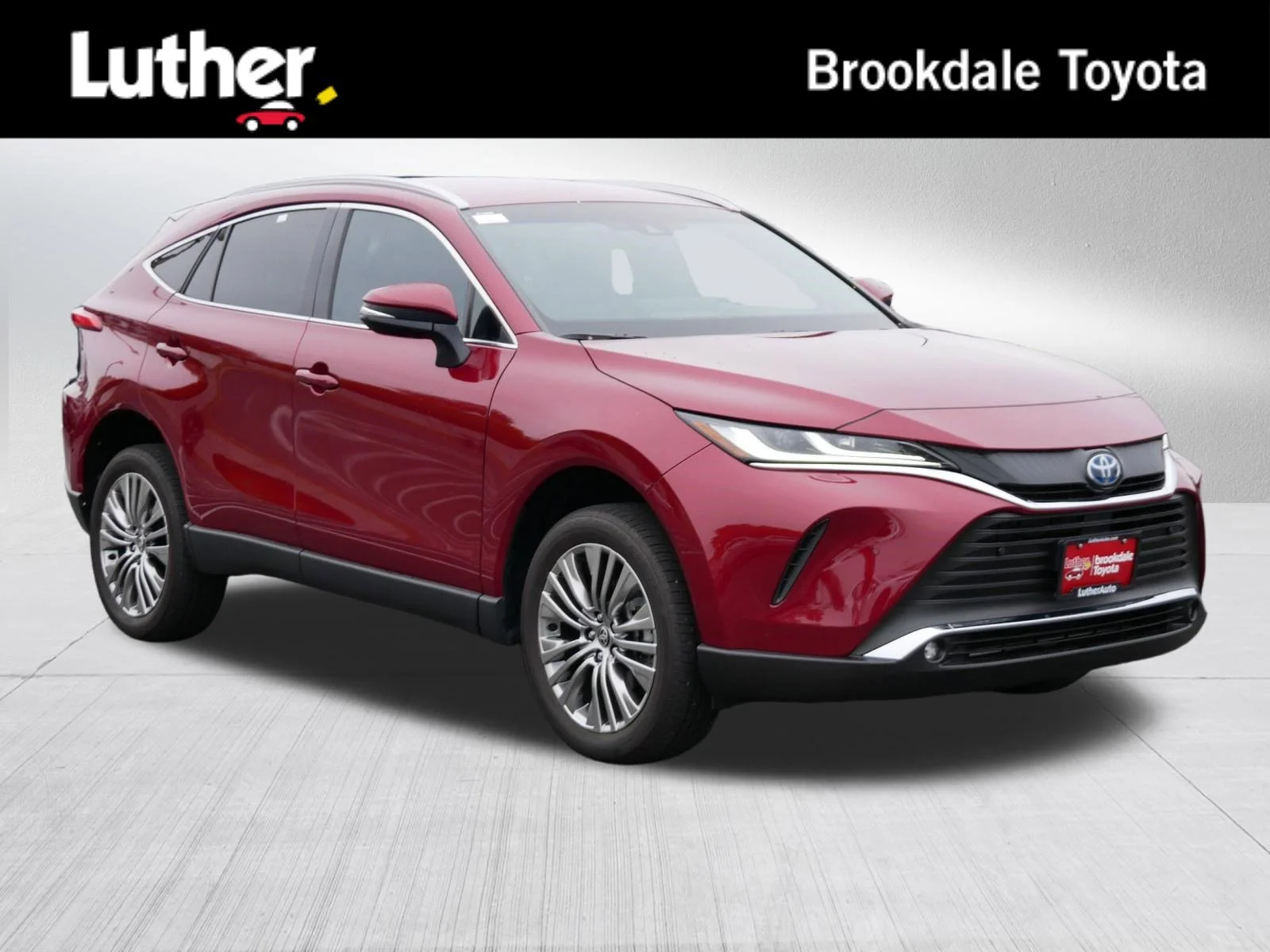 2024 Toyota Venza XLE Hybrid AWD's photo