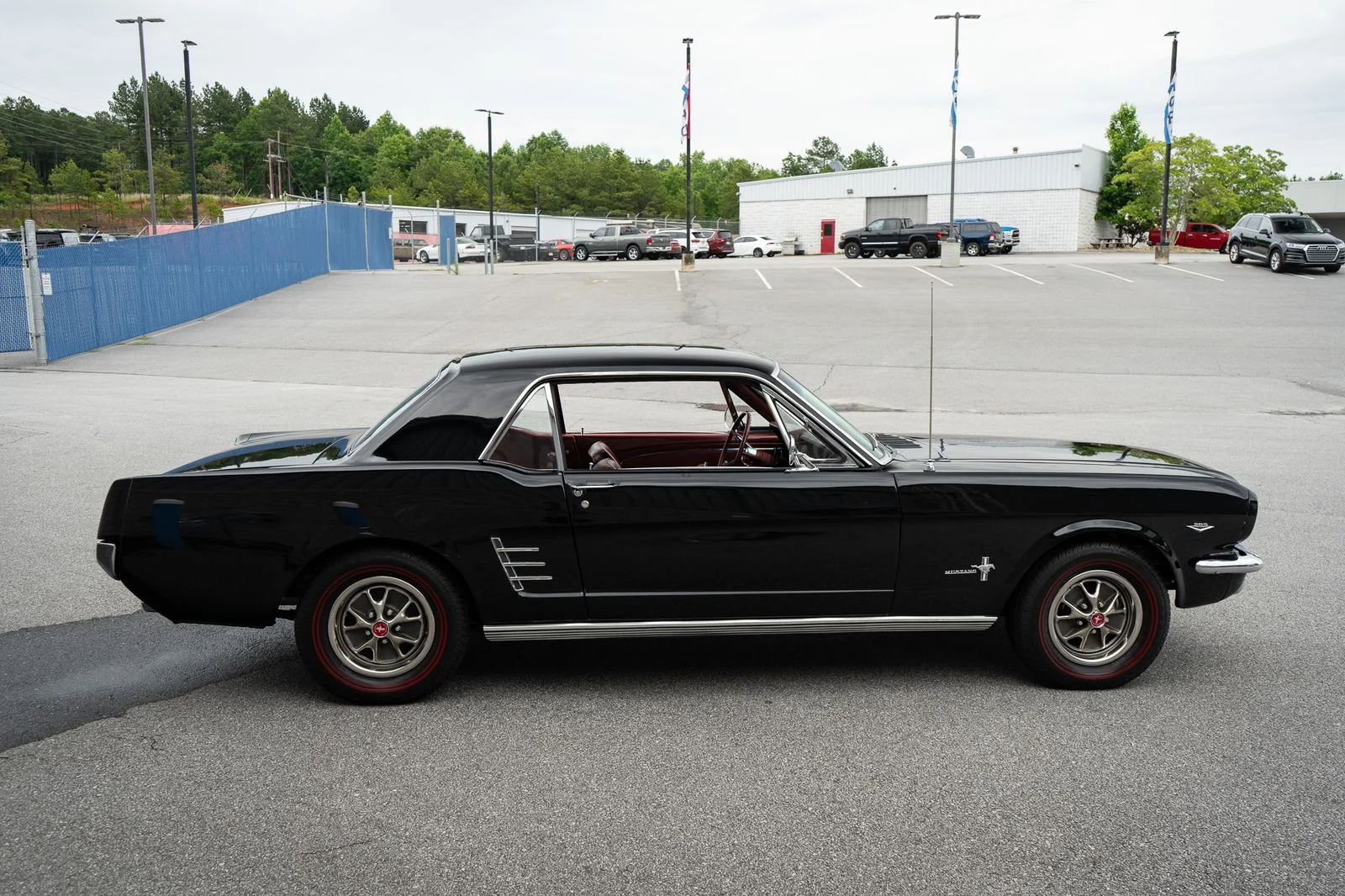 Used 1966 Black Ford  image 13
