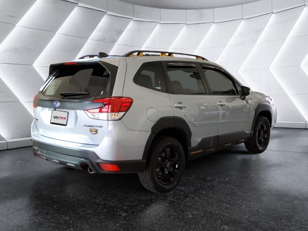 Used 2024 Silver Subaru Wilderness image 4